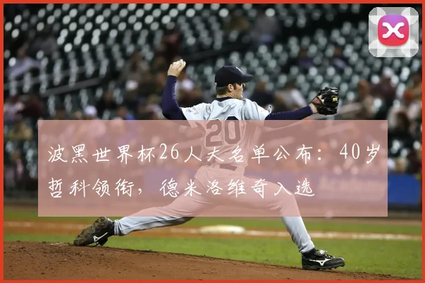 波黑世界杯26人大名单公布：40岁哲科领衔，德米洛维奇入选