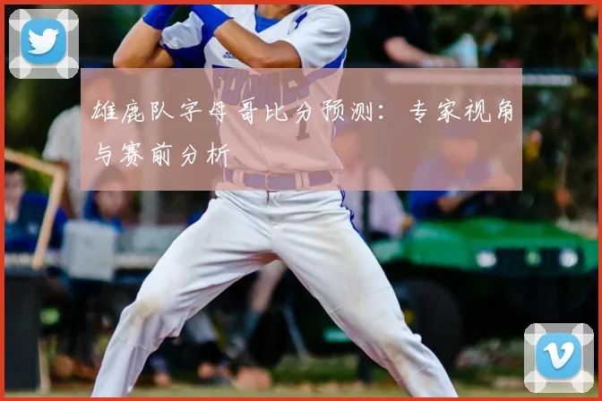 雄鹿队字母哥比分预测：专家视角与赛前分析