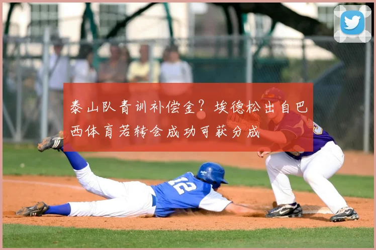 泰山队青训补偿金？埃德松出自巴西体育若转会成功可获分成